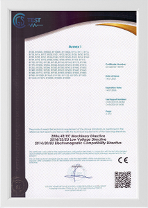 CE-ዲሴል ጄኔሬተር-2